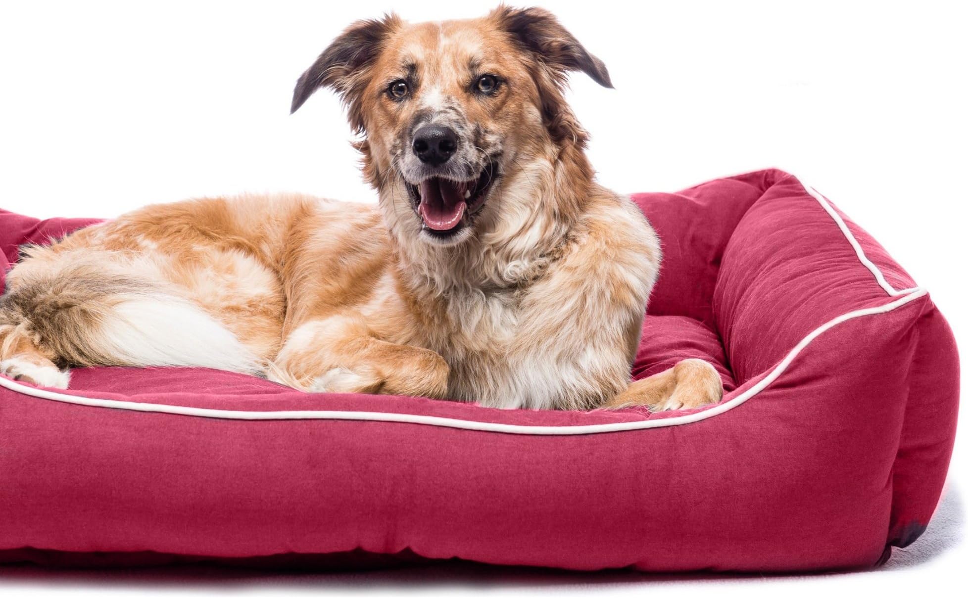 Dog Gone Smart Lounger Dog Bed