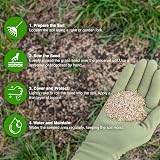 GroundMaster GroundMaster Premium Grass Seed 1kg - Fast Germinating Lawn Mix view 4