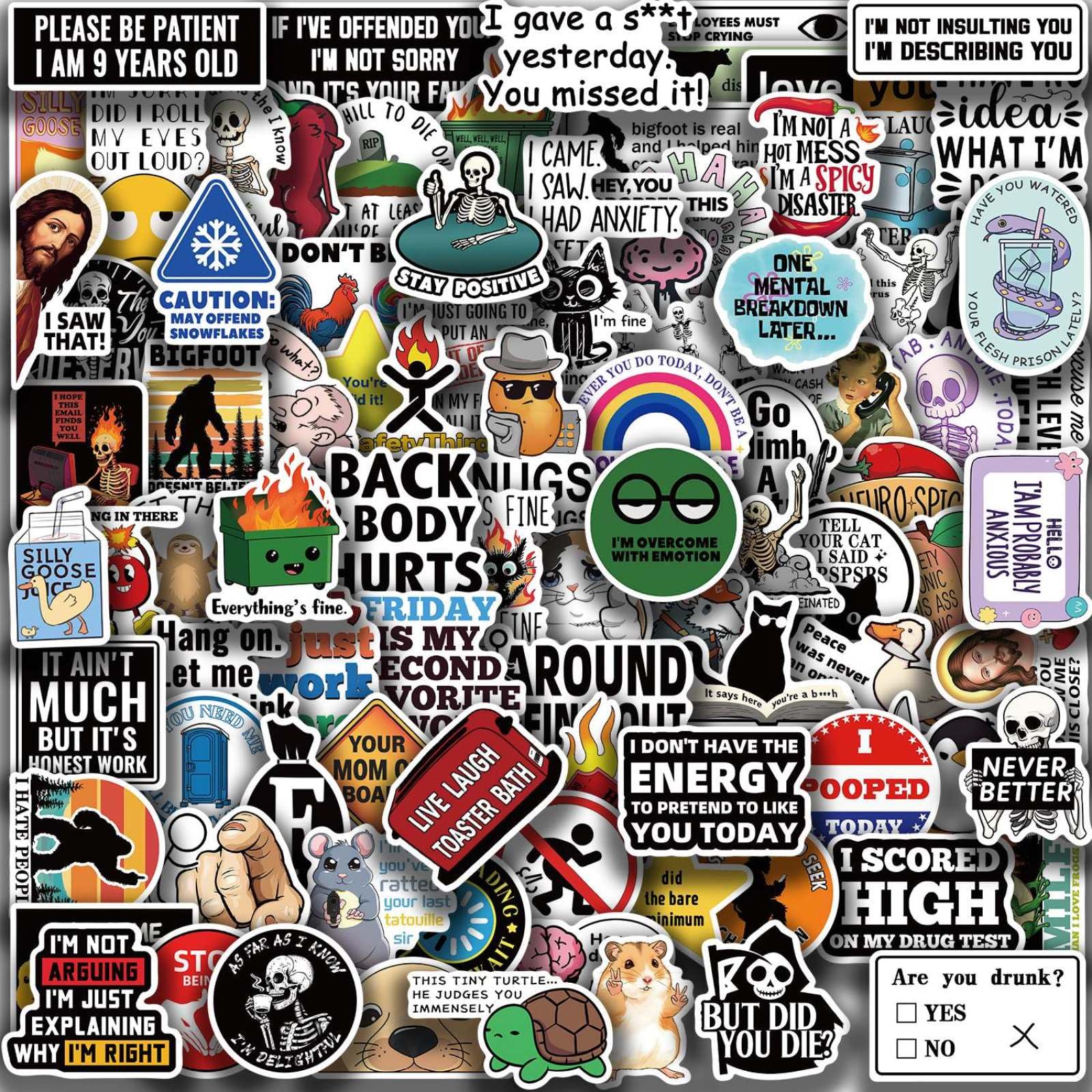 Photo 1 of 100PCS Funny Meme Stickers for Adults Teens, Cool Popular Meme Stickers for Water Bottle Phone Hard Hats Laptop