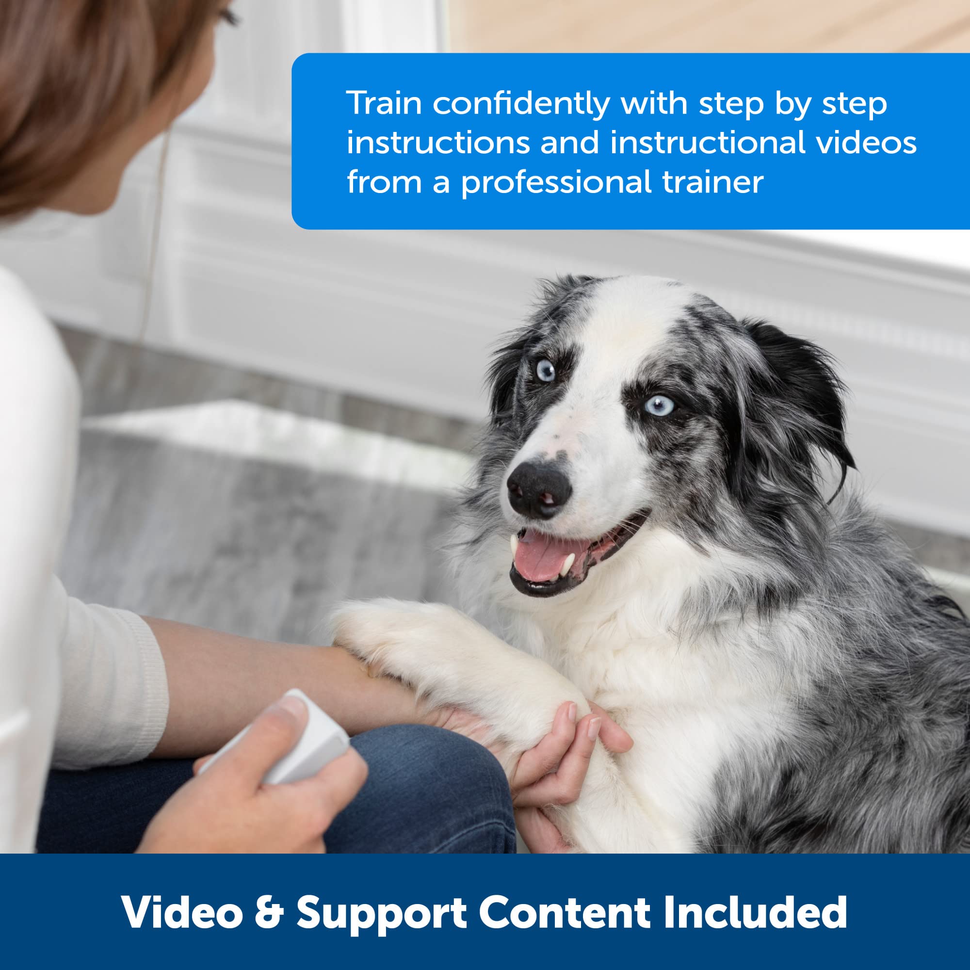 PetSafe Teach & Treat Remote Reward Trainer – Remote Treat Dispenser for Dogs – Portable Training Tool