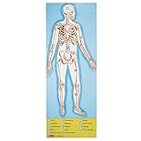 Human Body Floor