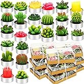 Lounsweer 72 Pcs Cactus Tealight Candles Artificial Succulents Tealight Candles for Birthday Shower Wedding Spa Party Favors Gifts Home Decor