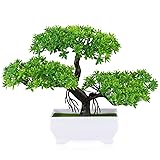 Frjjthchy Mini Artificial Bonsai Tree Plants with