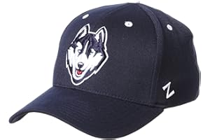 ZHATS Men's NCAA Officially Licensed Stretch Fit Hat Zh Alternate