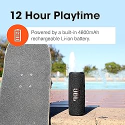 JBL Flip 6 (Pink) + Bundle with Case Logic Braided