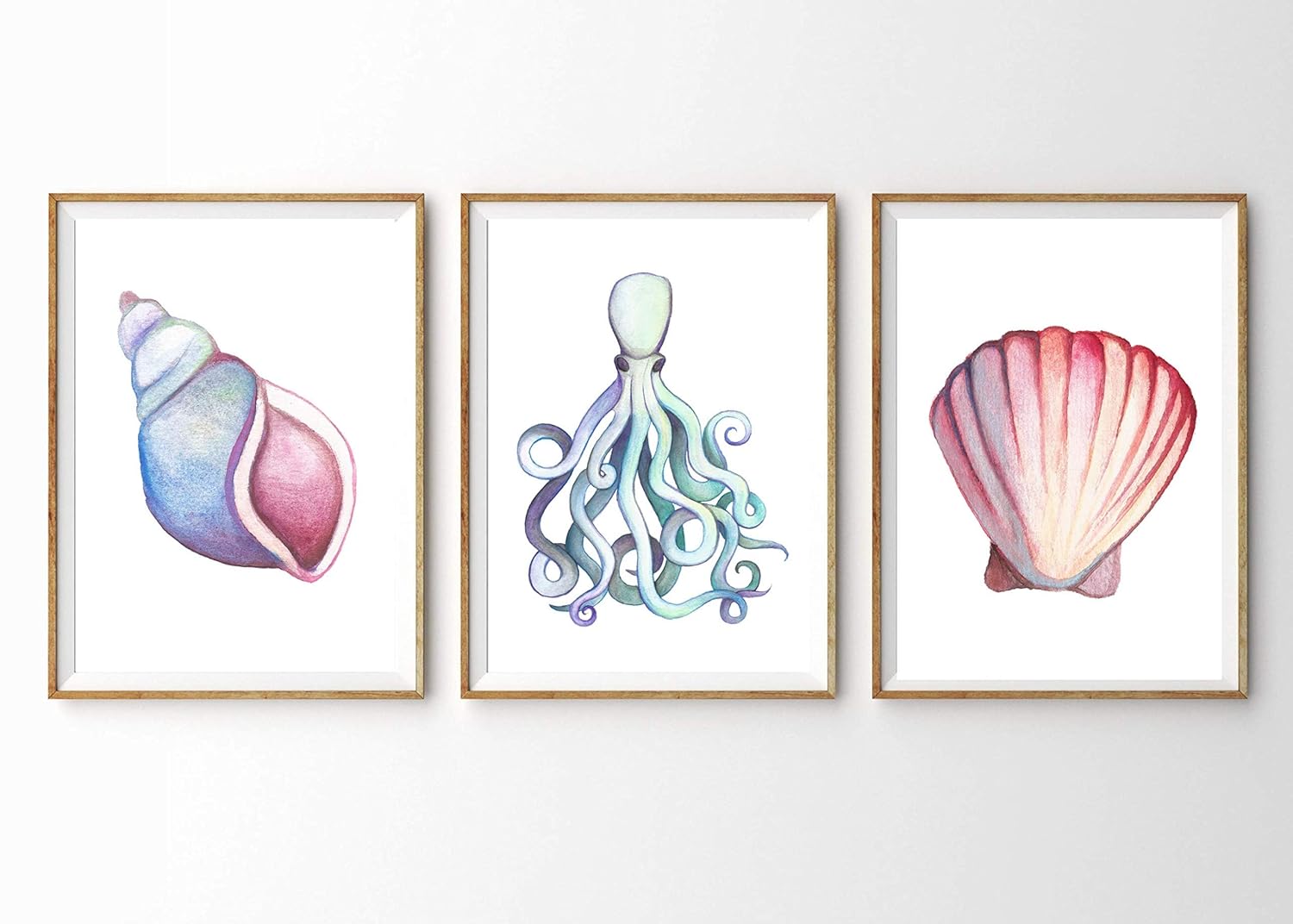 Din A4 Kunstdruck ungerahmt 3teilig Jakobsmuschel Krake