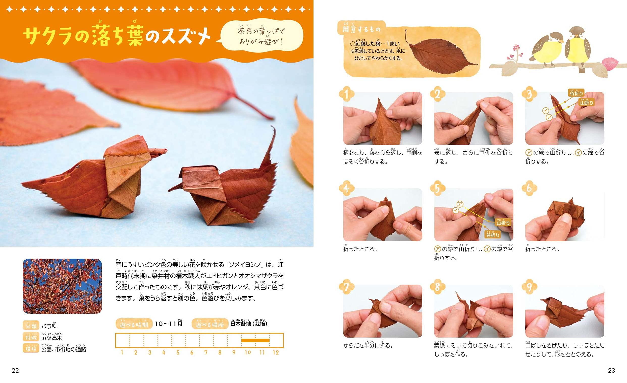 秋 サクラの落ち葉のスズメ ジュズダマの忍者 ほか パパッと葉っぱが大へんしん 季節の草花あそび 相澤悦子 本 通販 Amazon