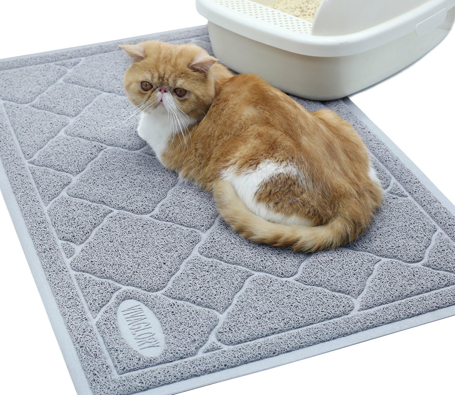 Waterproof Cat Mat 2025 - Main Image