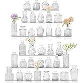 36Pcs Bud Vases Set Small Vintage Glass Bottles Clear Bud Vases in Bulk Multiple Shape Cute Glass Vases for Rustic Wedding Centerpieces Table Decorations and Home Decor(Clear)