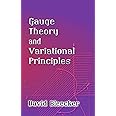 Gauge Theory and Variational Principles (Dover Books on Physics)