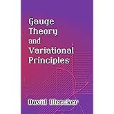 Gauge Theory and Variational Principles (Dover Books on Physics)
