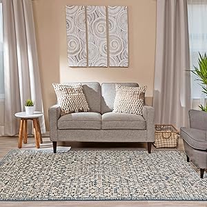 Ophanie Modern Boho Chic Area Rug Carpet, Thick Area Rugs for Living Room, Bedroom, Home Office, 5' x 8', Blue/White