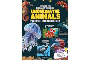 Explore Fantastic World of Underwater Picture Encyclopedia
