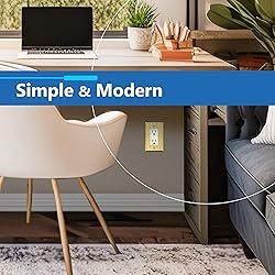 LIDER Dual Decorator Switch or Receptacle Metal