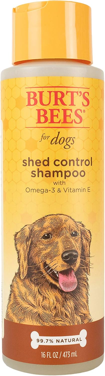 chi shed control shampoo