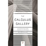 The Calculus Gallery: Masterpieces from Newton to Lebesgue (Princeton Science Library, 96)