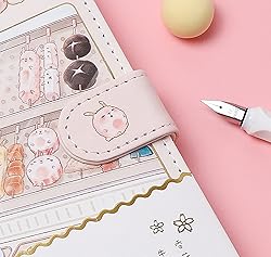 Kawaii Journal Notebook, Sushi Journal, Cute