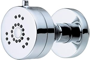 Danze D460258 Parma 2-Function Wall Mount Jets Body Spray, Chrome