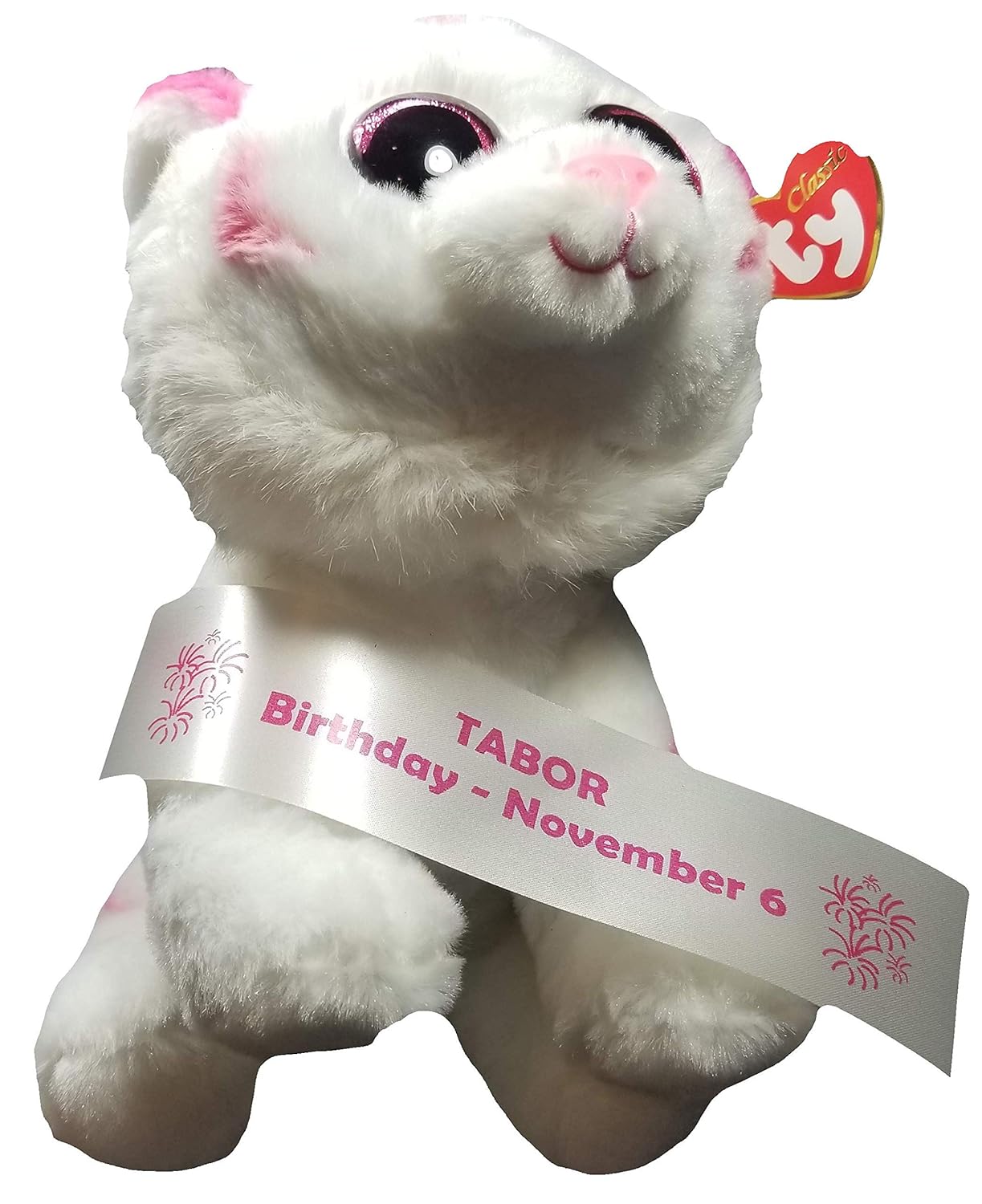 tabor beanie boo birthday