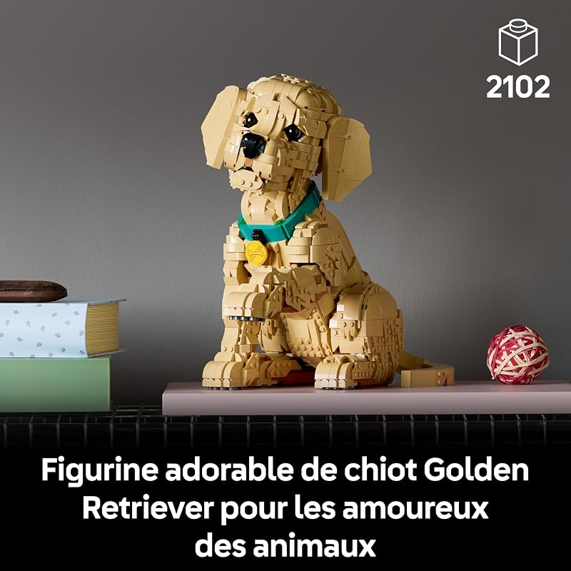Icons Le Chiot Golden Retriever 11384