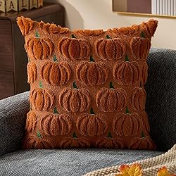 DFXSZ Fall Pillow Covers 18x18 Set of 2 Fall