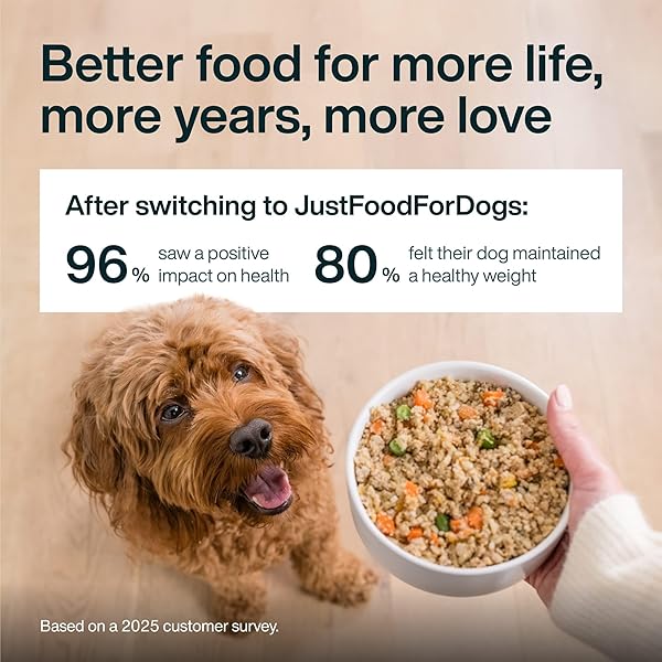 JUSTFOODFORDOGS PANTRY FRESH DOG FOOD VARIETY PACK, COMPLETE MEAL OR TOPPER, BEEF, CHICKEN, TURKEY, & LAMB HUMAN GRADE RECIPE – 12.5 OZ (PACK OF 8)