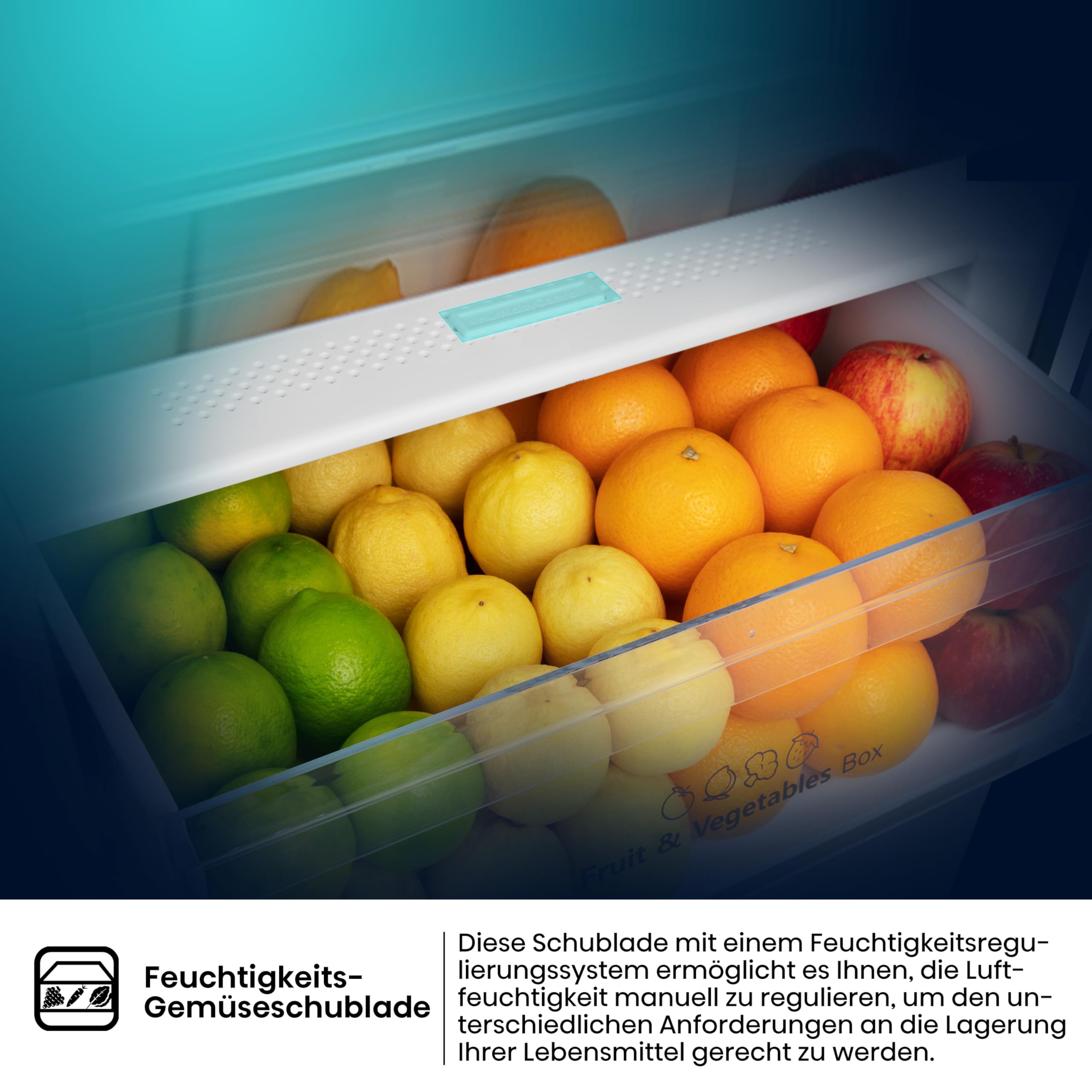 Hisense RB440N4ACA Kühl-Gefrier-Kombination/Höhe 201 cm/Kühlen 178 L/Gefrieren 98 L/LED Beleuchtung, Edelstahl 6