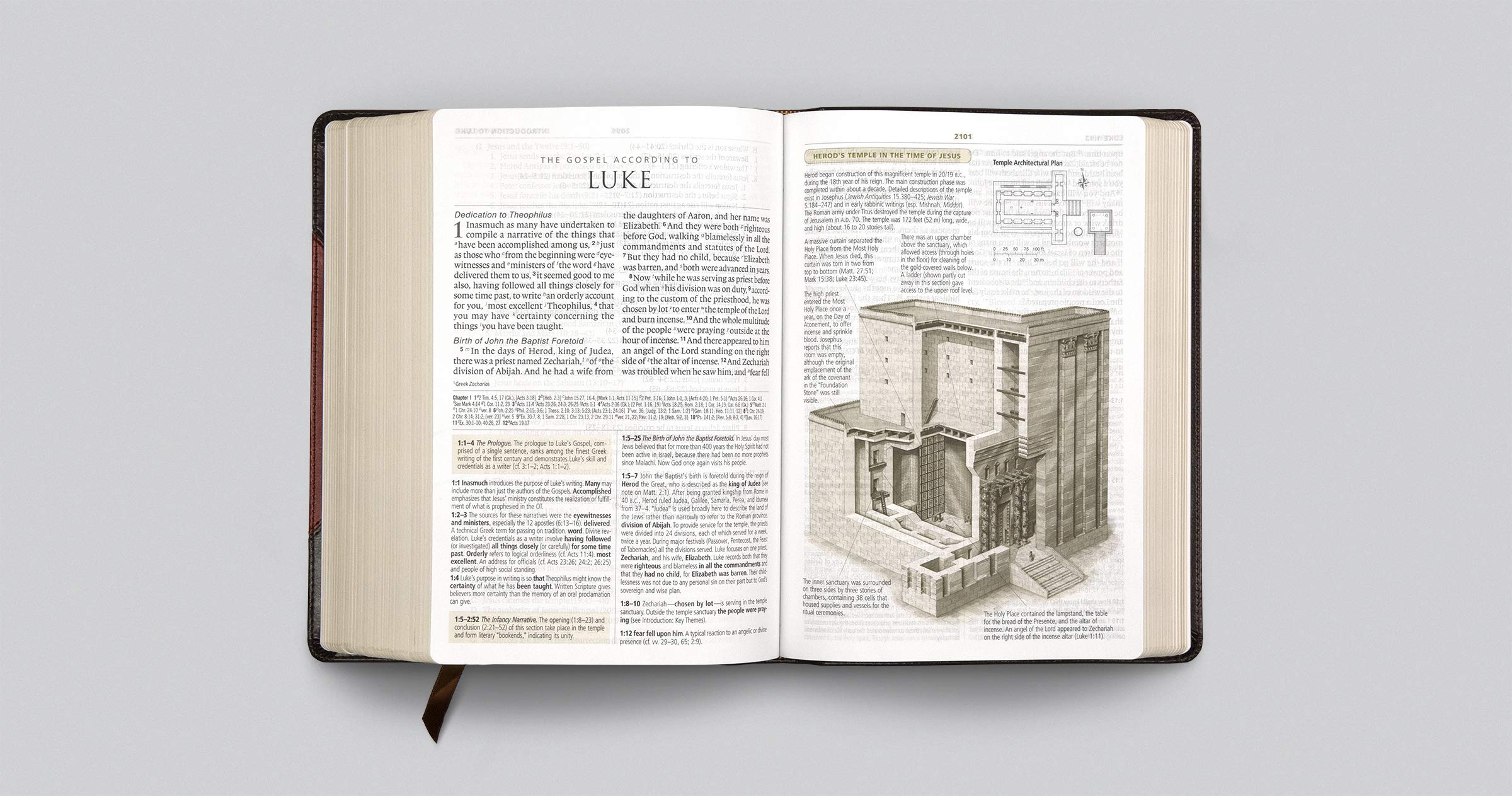 ESV Study Bible, Large Print (TruTone, Brown/Cordovan, Portfolio Design)