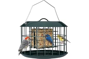 Kingsyard Squirrel Proof Suet Feeder, Cage Bird Feeders for Outdoors Hanging, All Metal, Double Suet Cake Capacity, Tray & We