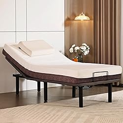 Frassie Adjustable Bed Base Frame Twin XL Electric