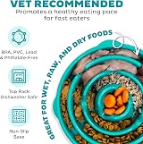 Outward Hound Slow Feeder Dog Bowl Large Turquoise – Non-Slip, Durable view 3