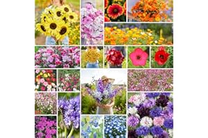 Eden Brothers All Annual Wildflower Mixed Seeds for Planting, 1/4 lb, 120,000+ Seeds with Sunflower, Indian Blanket, Scarlet Flax | Attracts Pollinators, Plant in Spring, Zones 3, 4, 5, 6, 7, 8, 9, 10