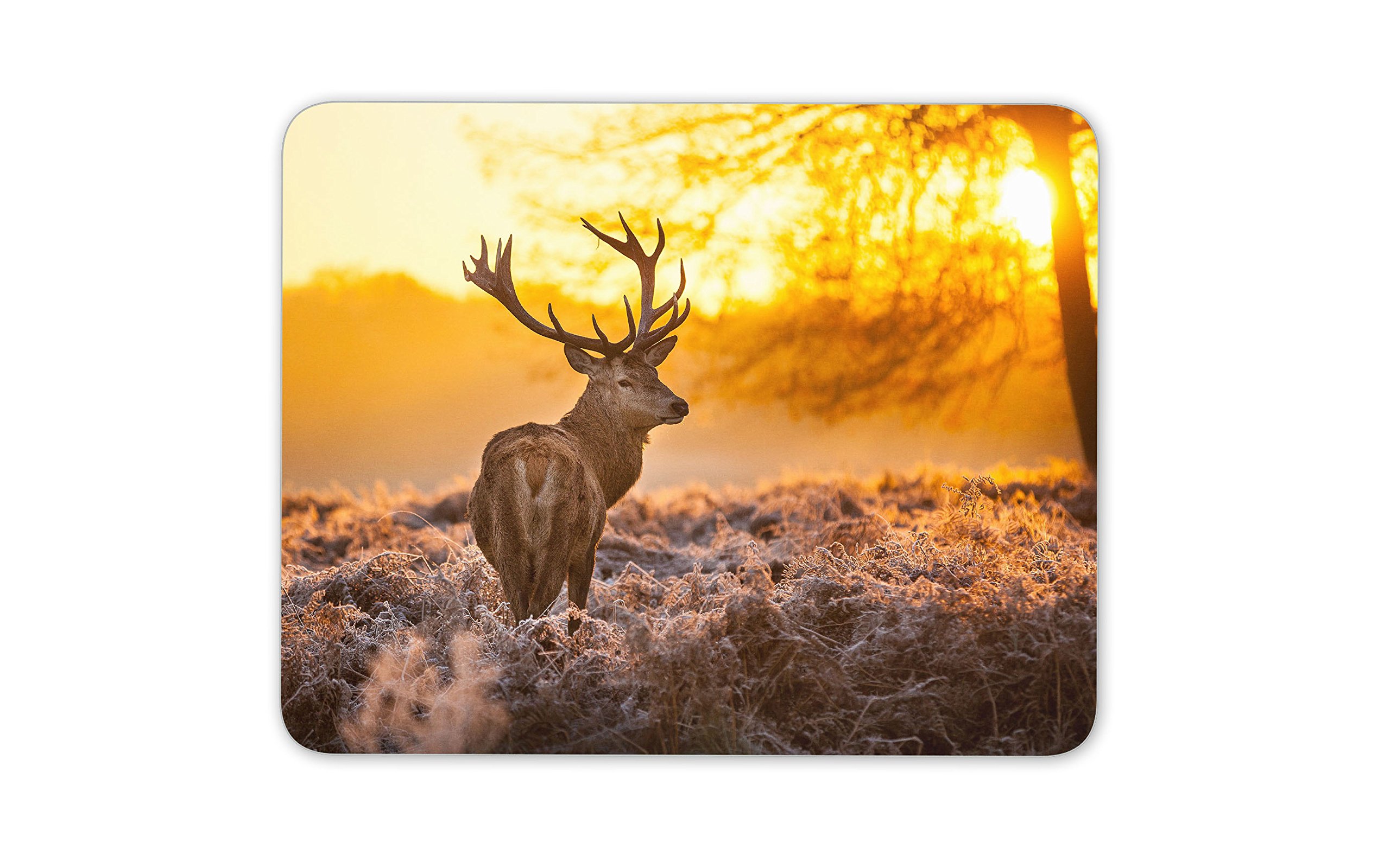 Winter Deer Mouse Mat Pad Sunrise Stag Animal Xmas Computer PC #8110