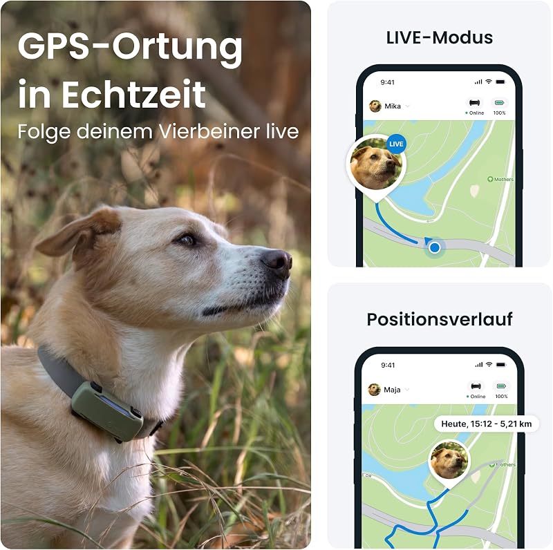 Smarter Hunde GPS Tracker | Bundle mit Cover | Modell 2025 | Live-GPS-Ortung | Weglaufalarm & Gesundheitswarnungen | Beobachtung der Vitalwerte | Marktführer (Schwarz)