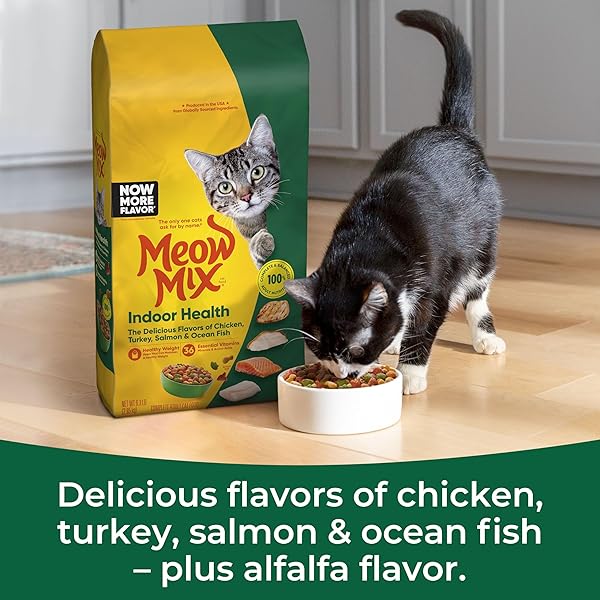 MEOW MIX INDOOR HEALTH DRY CAT FOOD, 6.3 POUND BAG