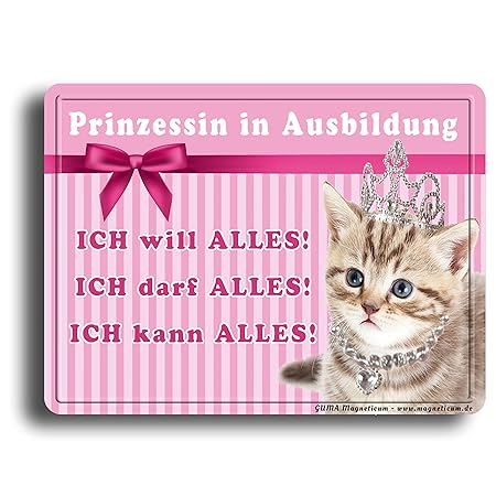 Imán - imagen de princesa gata - placa magnética de 8 x 6 cm ...
