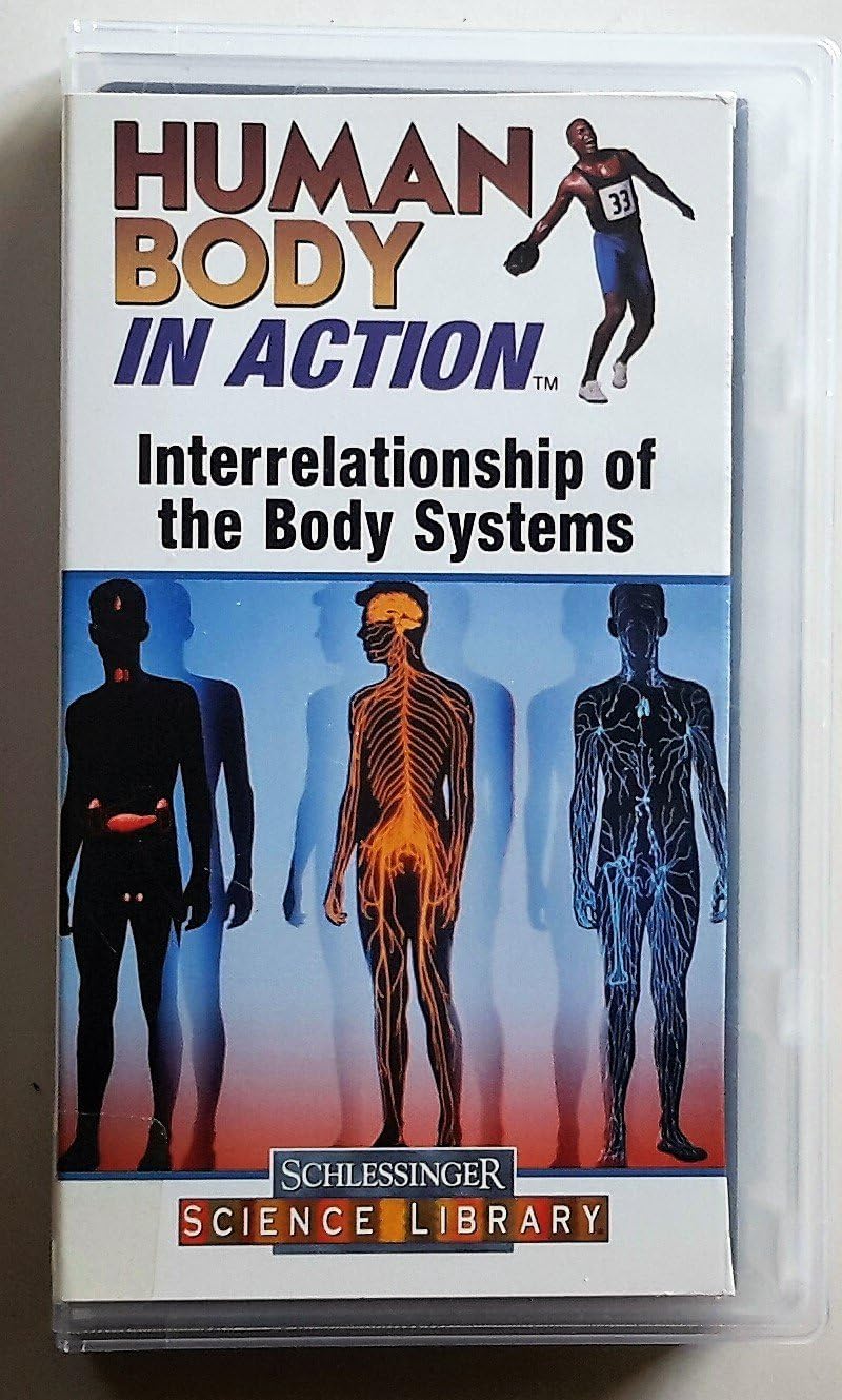 Human Body in Action interrelationship of the Body