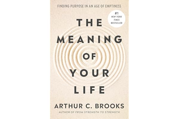 The Meaning of Your Life: Finding Purpose in an Age of Emptiness
