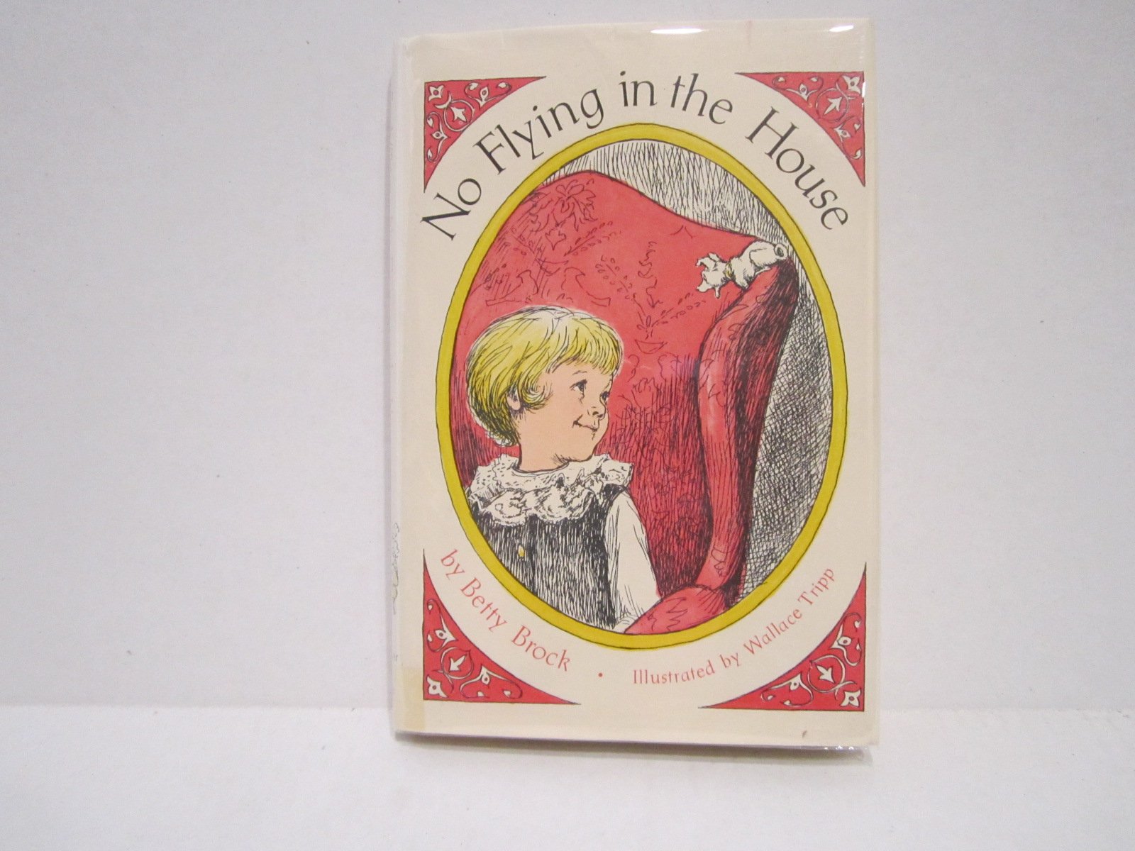 no flying in the house book