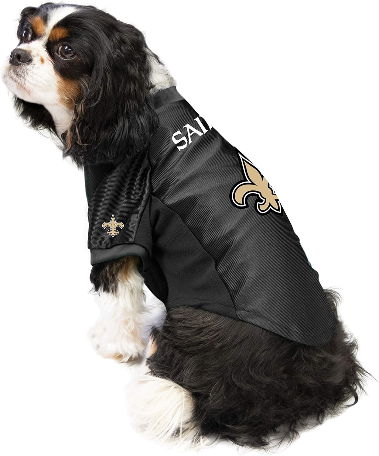 dog saints jersey