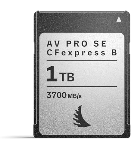 ビデオカメラ AV PRO CFexpress SE Type B 512GB Angelbird 512GB AV PRO CFexpress 2.0 Type B SE AVP512CFXBSE-50