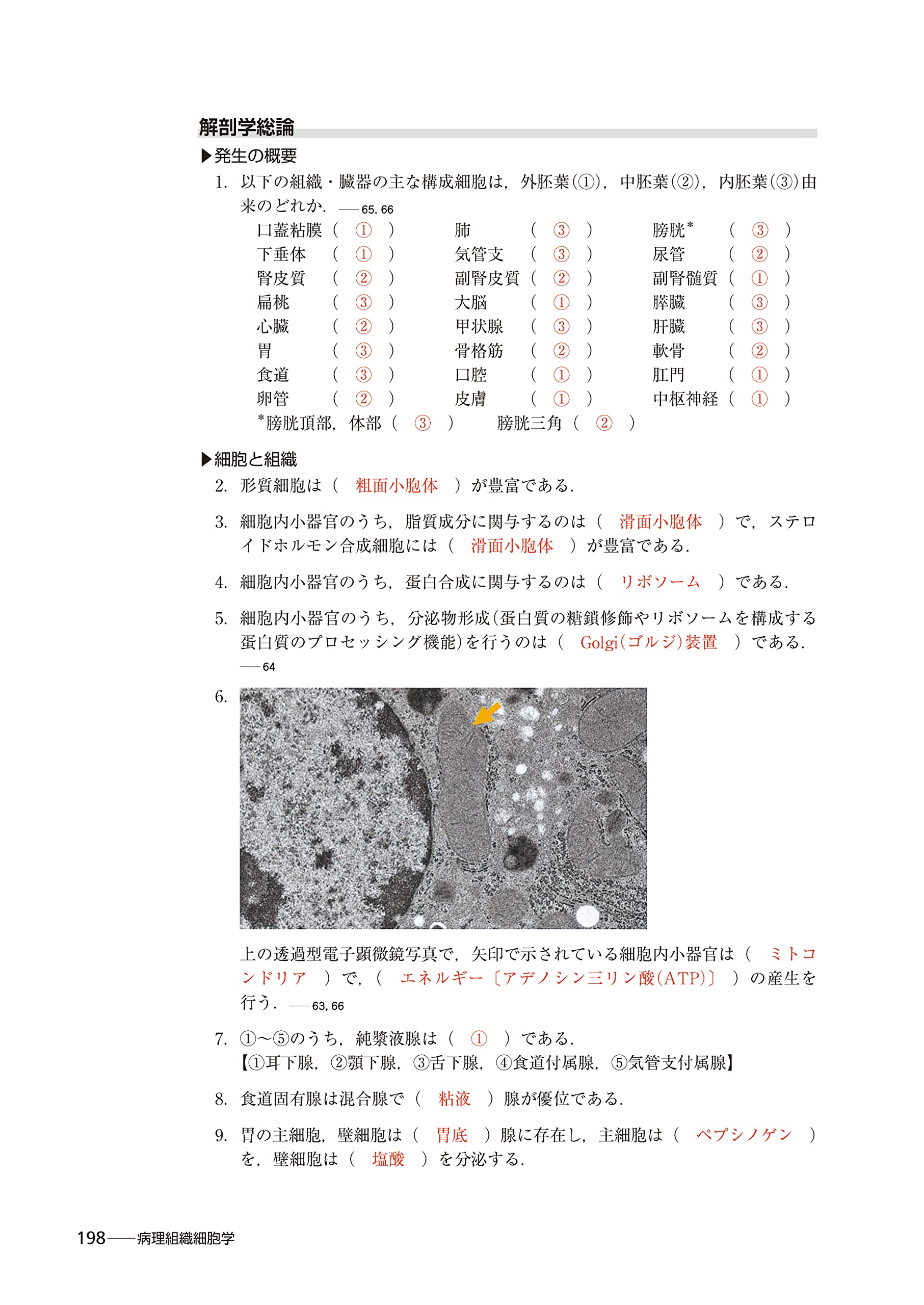 粘土金具 差し丸カン Clay 5個入り K 0006 Art 粘土金具 差し丸カン Clay 5個入り K 0006 Art