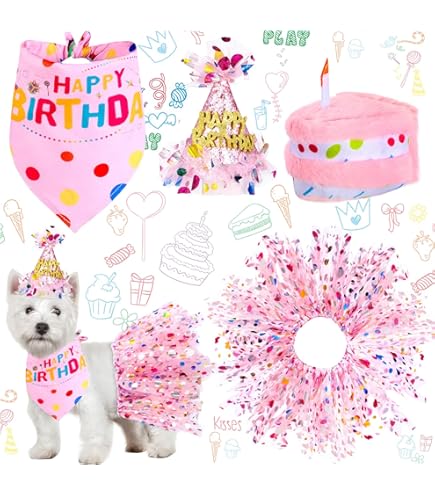 Amazon.com : Odi Style Dog Birthday Girl Outfit - Party Decorations - Hat,  Crown and Dress with Birthday Girl Sign, Puppy Party T-Shirts Cat  Breathable Stretchy Costumes X-Small : Pet Supplies