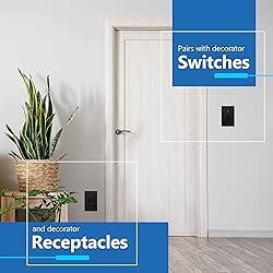 LIDER Brushed Finish Decorator Switch