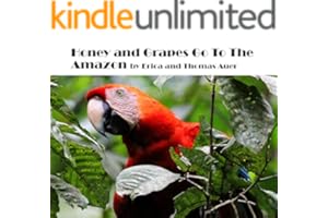 kindle best category lists