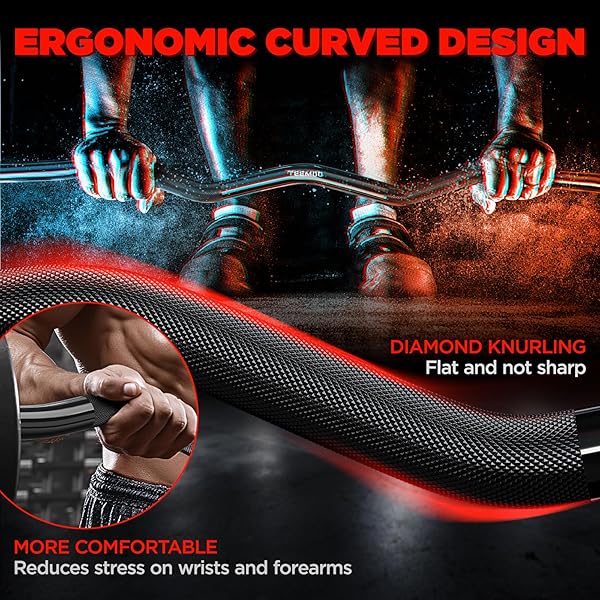 TEEMOO OLYMPIC EZ CURL BARBELL BAR, 47″ CURL BAR WITH 2 SPRING COLLARS, CURLING BAR FOR WEIGHT LIFTING, SQUAT, HIP THRUSTS, BICEPS, 500LB WEIGHT CAPACITY, E-COAT FINISH FOR 2 INCH WEIGHT PLATES (BLACK)