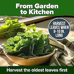 HOME GROWN