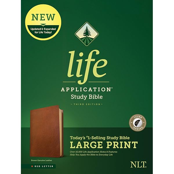 NLT Life Application Study Bible, Third Edition, Large Print