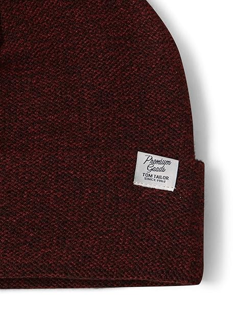 TOM TAILOR f/&uuml;r M/&auml;nner Accessoire Beanie mit Logo-Stickerei