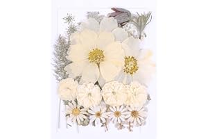 AHTONG 48PCS White Large Real Dried Pressed Flowers Leaves Natural Plant Herbarium for DIY Resin Mold Jewelry Making Craft (12 Styles)